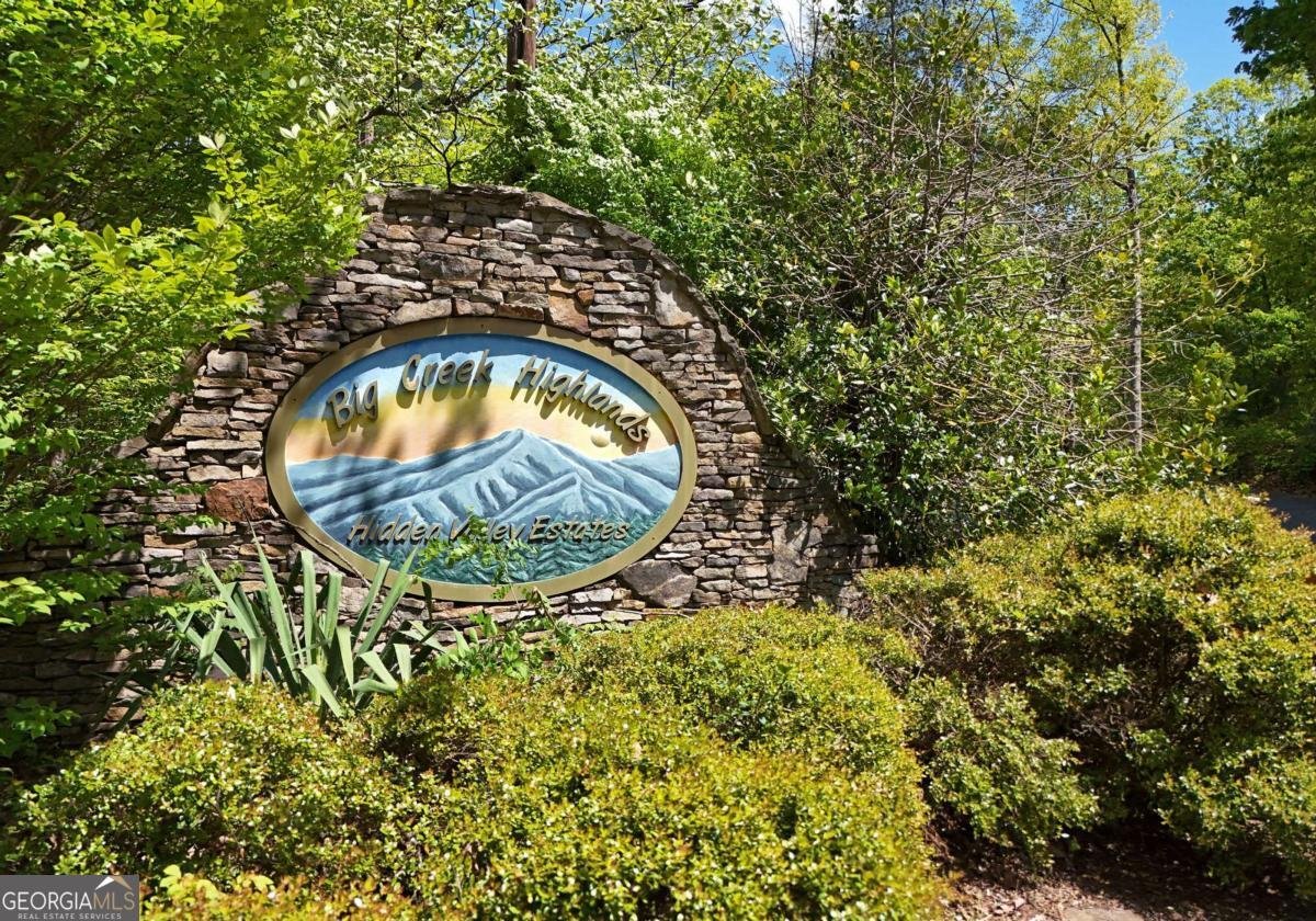 327 Prospectors Pass Ellijay - Photo 7