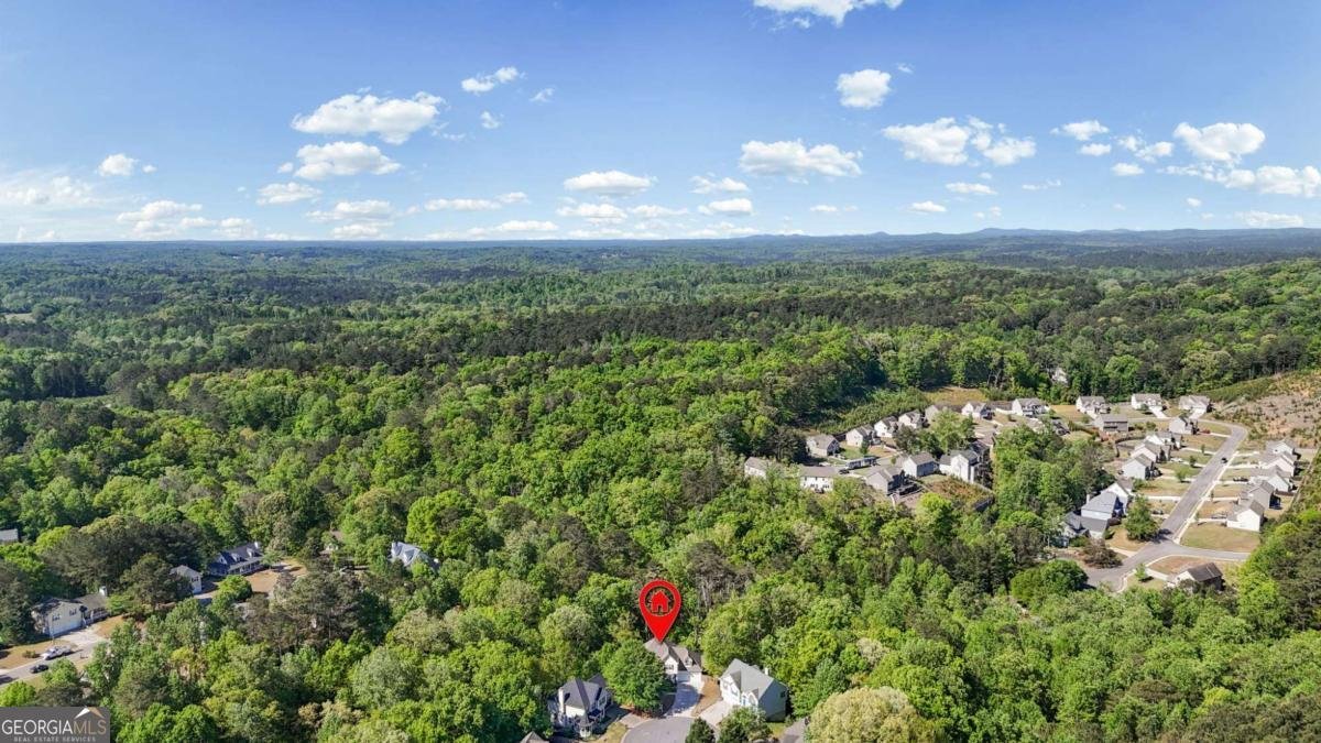 717 Ridgewood Way Canton - Photo 51