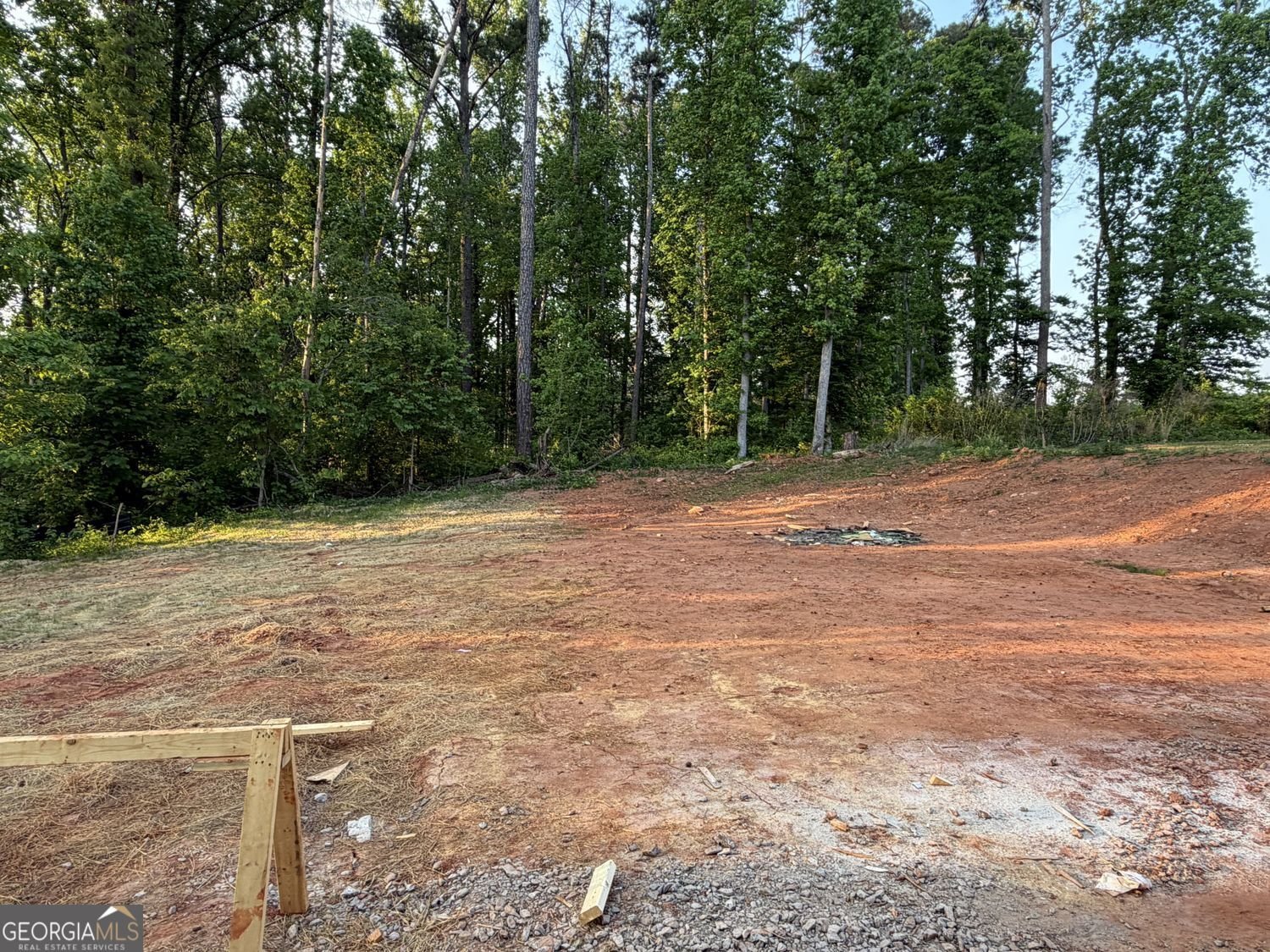 1529 Cabin Creek Trail Griffin - Photo 15