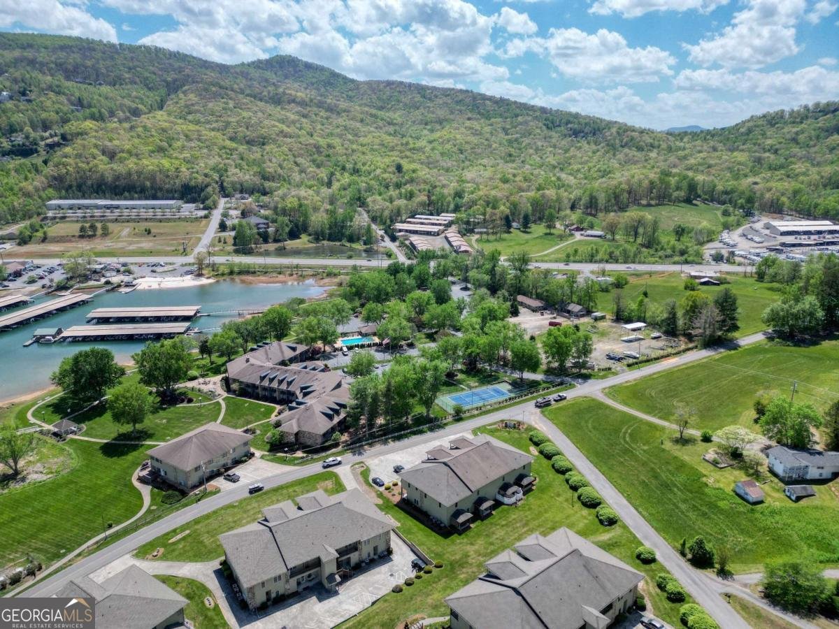 1647E Lakeview Drive Young Harris - Photo 50