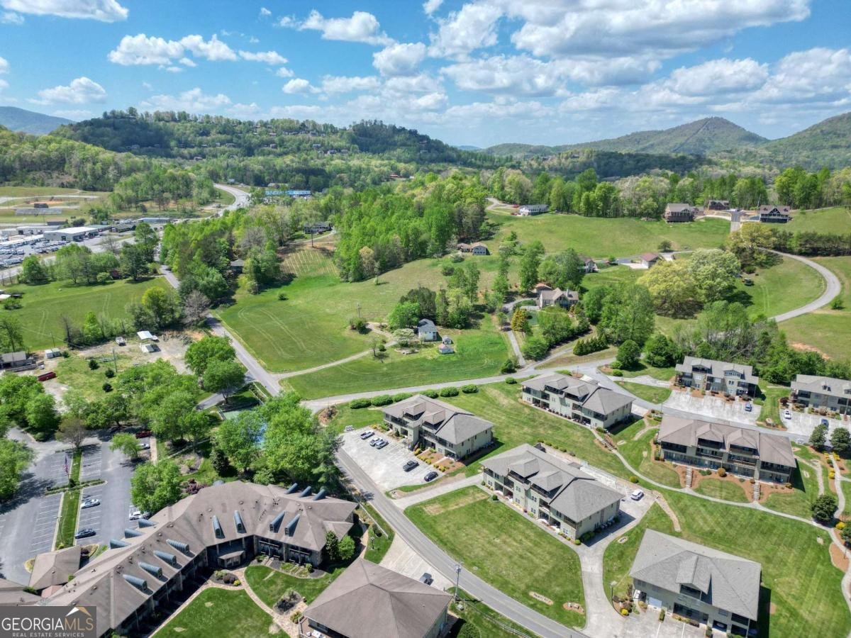 1647E Lakeview Drive Young Harris - Photo 51