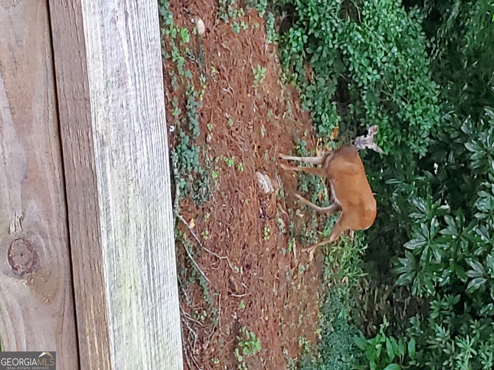 1420 Lafayette Lane Marietta - Photo 35