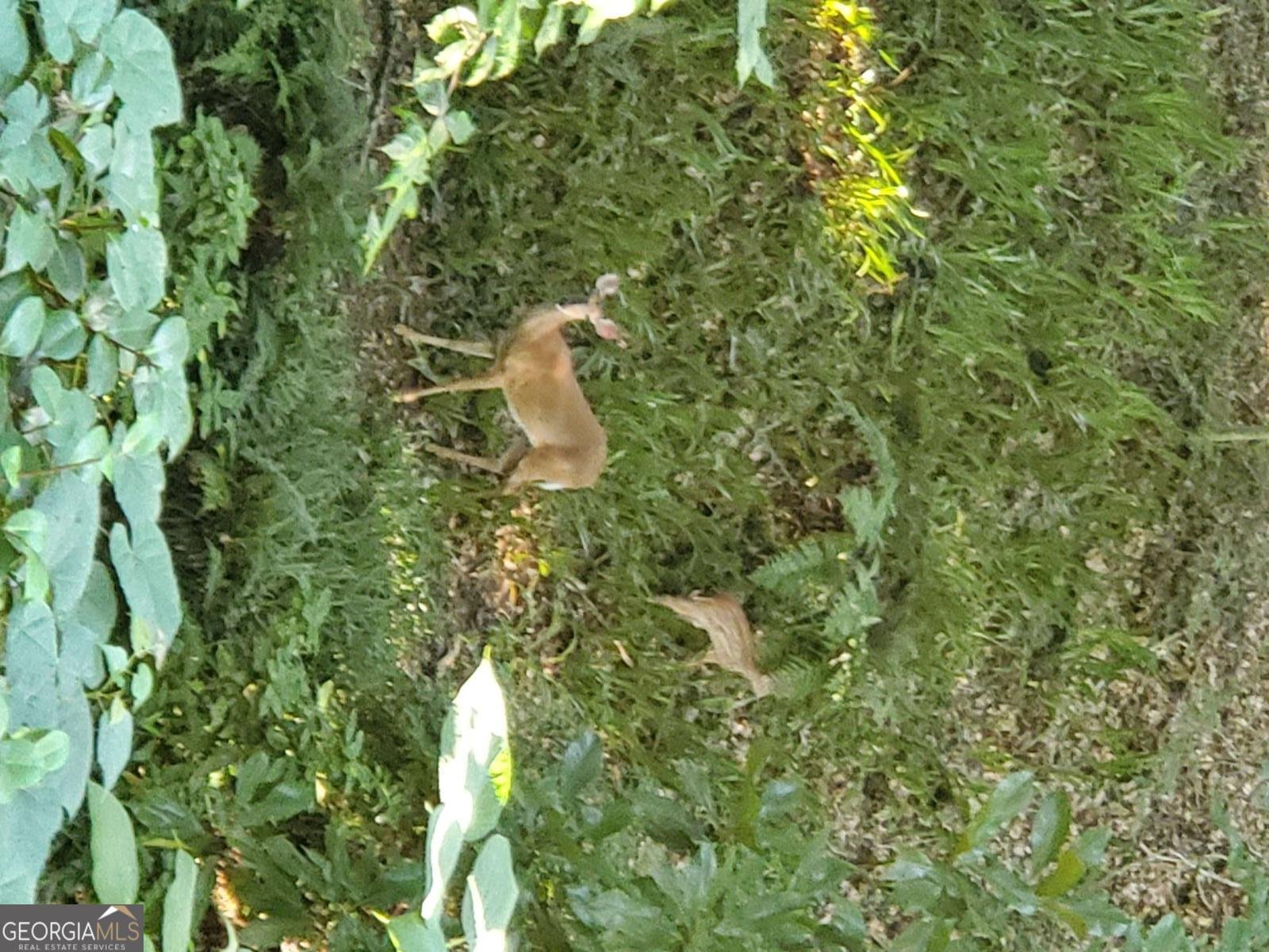 1420 Lafayette Lane Marietta - Photo 36