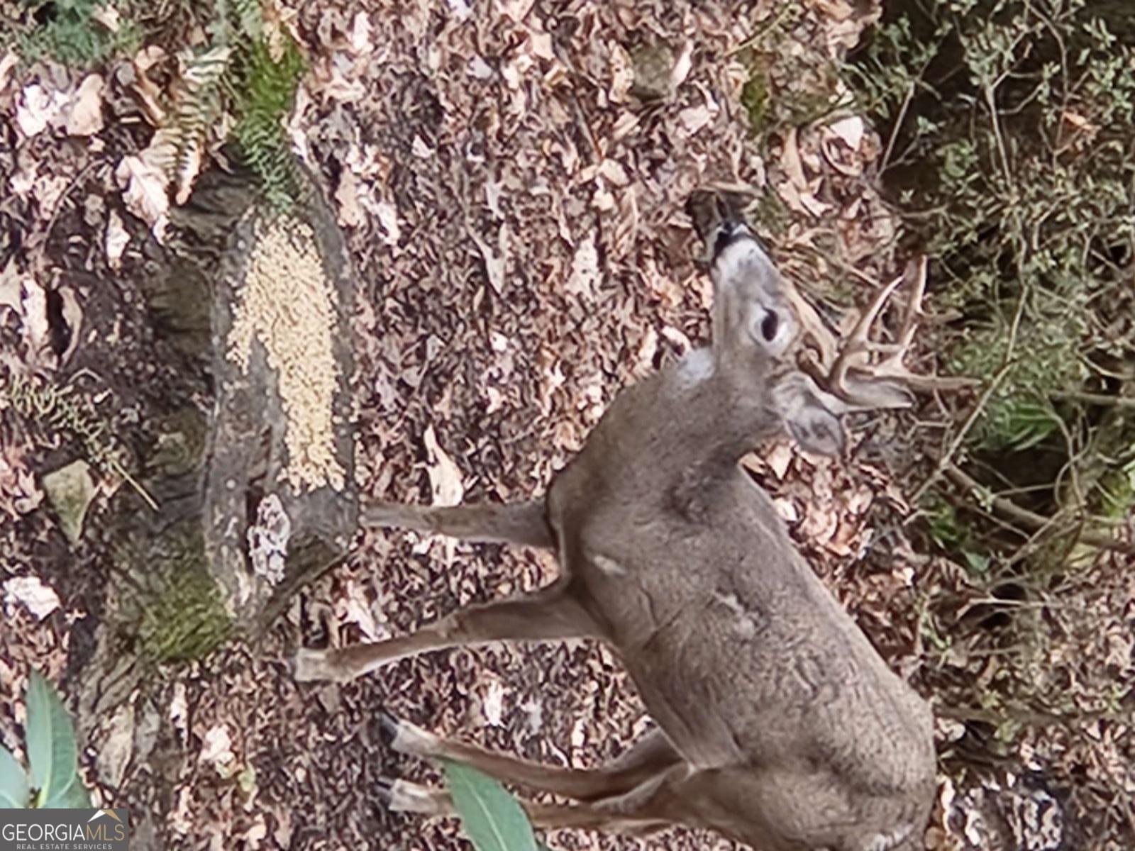 1420 Lafayette Lane Marietta - Photo 37