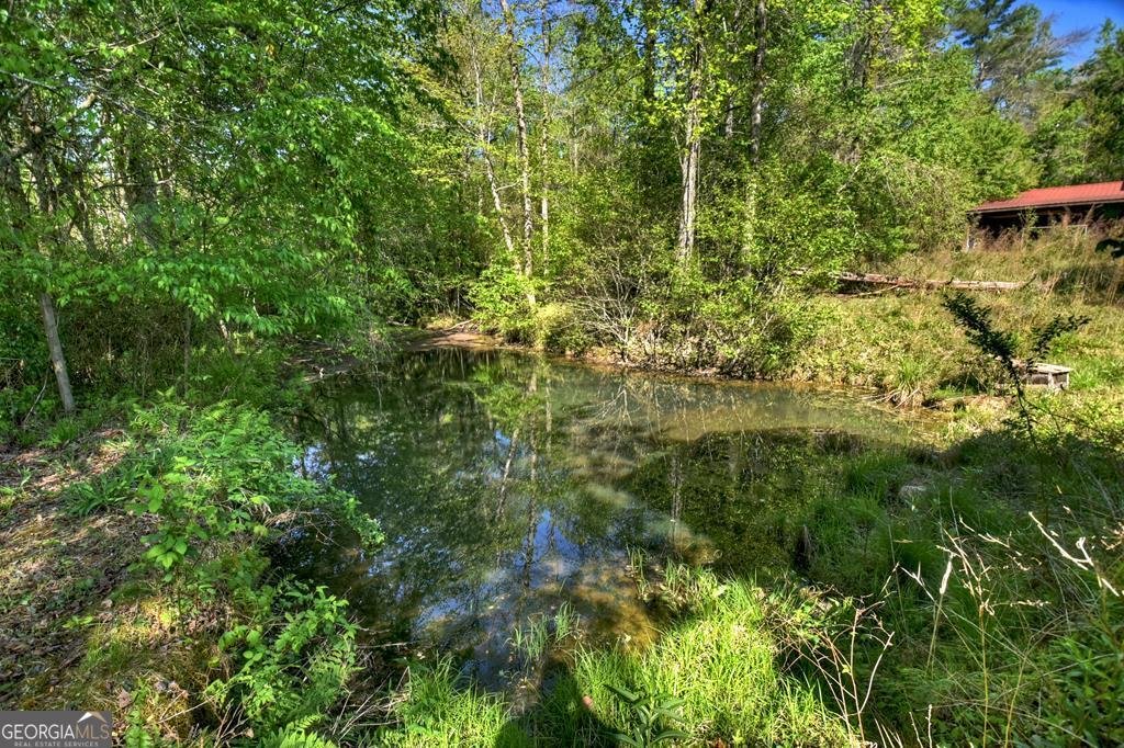 112 Loving Meadows Lane Morganton - Photo 66