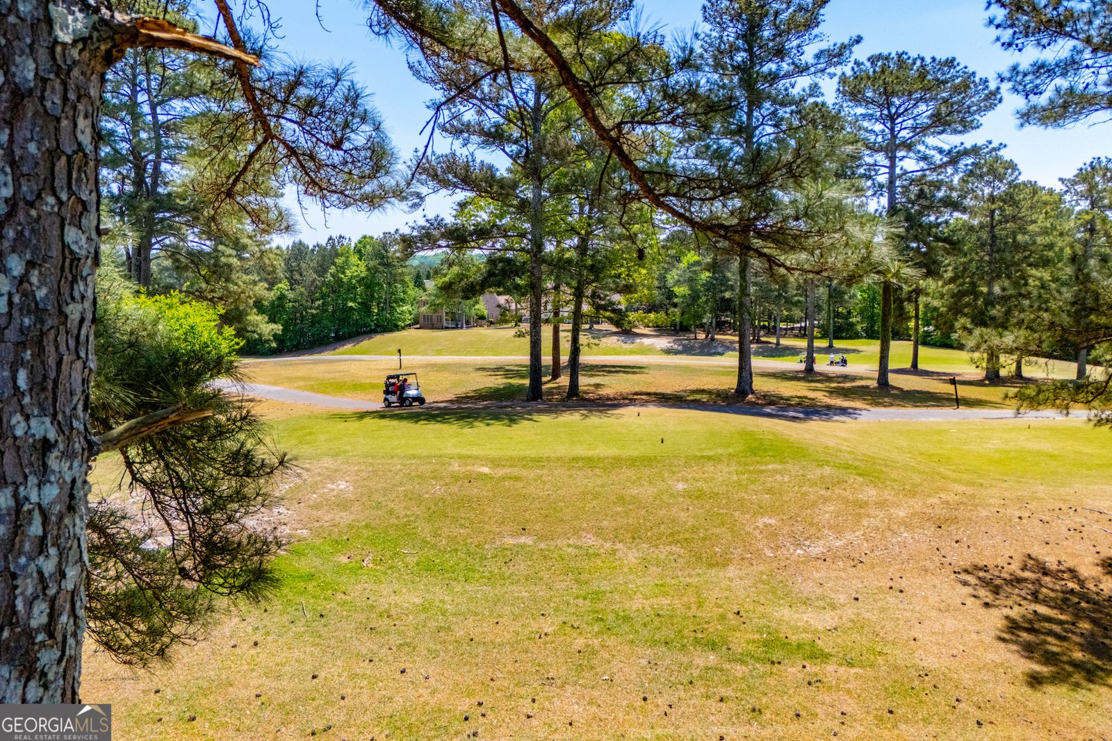 9751 Reflections Drive Villa Rica - Photo 70