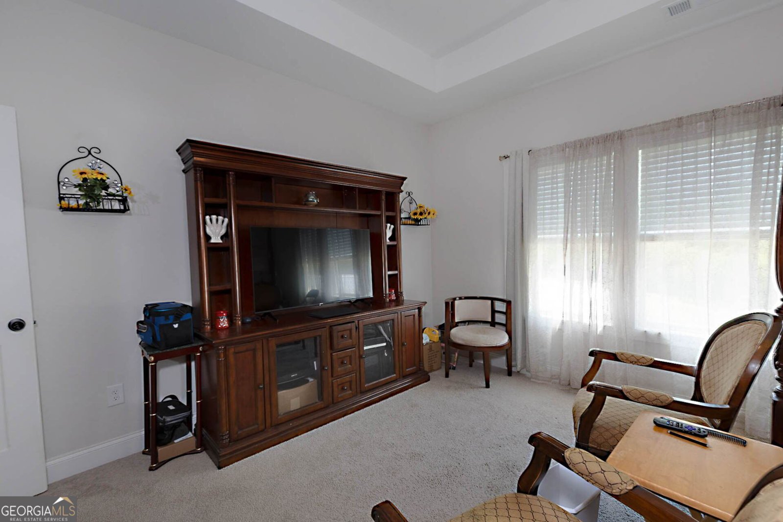 156 Lake Point Drive Williamson - Photo 16