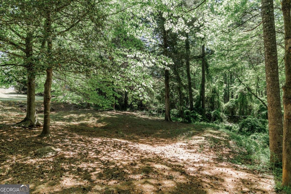 182 Woodberry Drive Athens - Photo 34