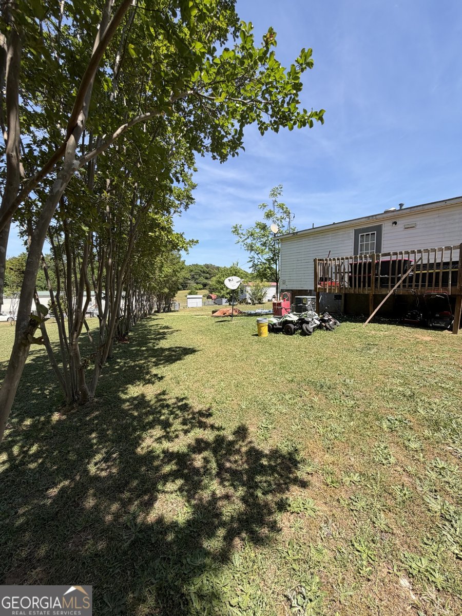 95 New Town Road Lavonia - Photo 12