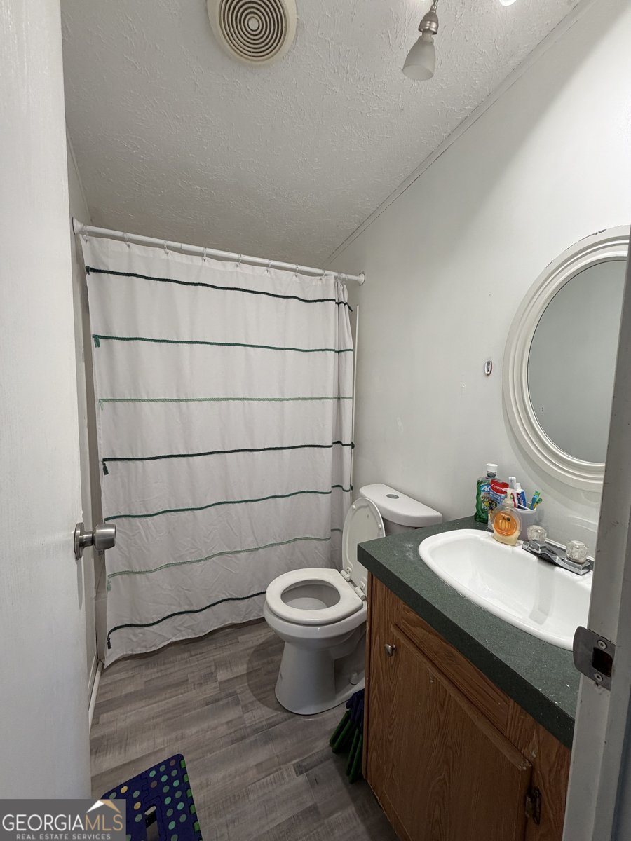 95 New Town Road Lavonia - Photo 6