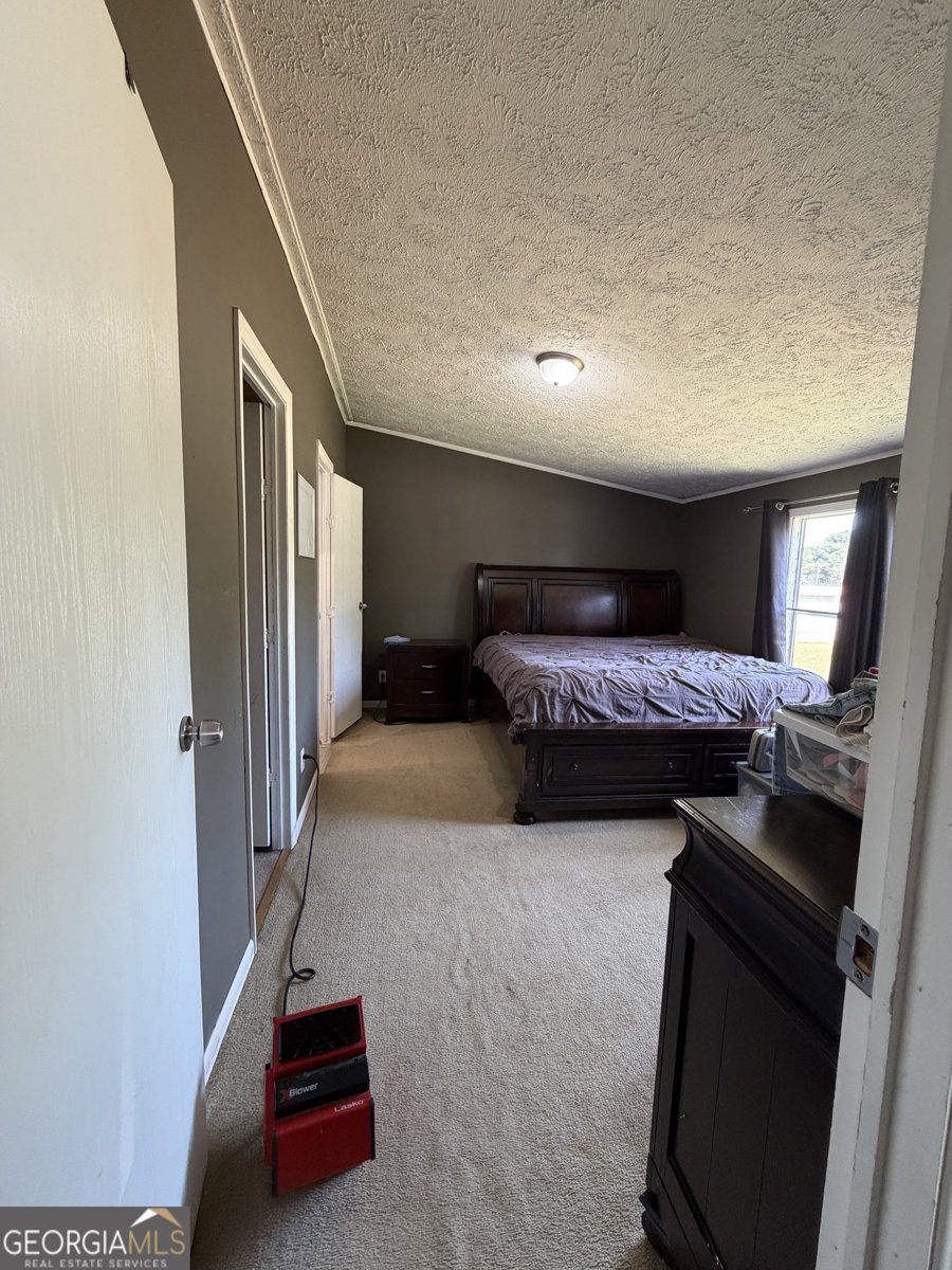 95 New Town Road Lavonia - Photo 8