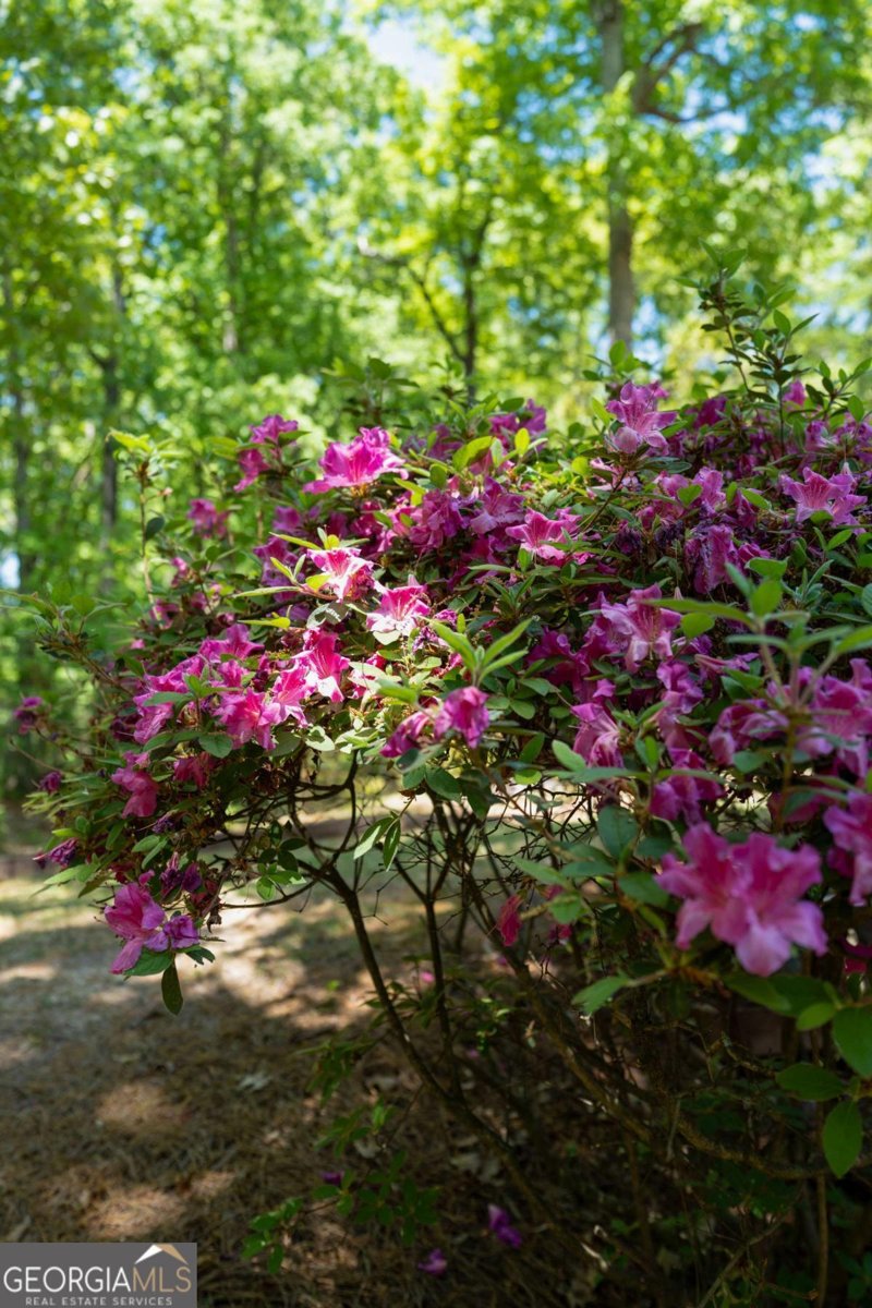 1858 De Winton Place Lawrenceville - Photo 35