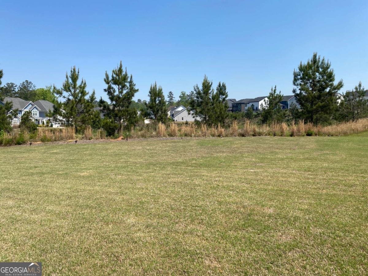 13 Candlewood Lane Hoschton - Photo 72