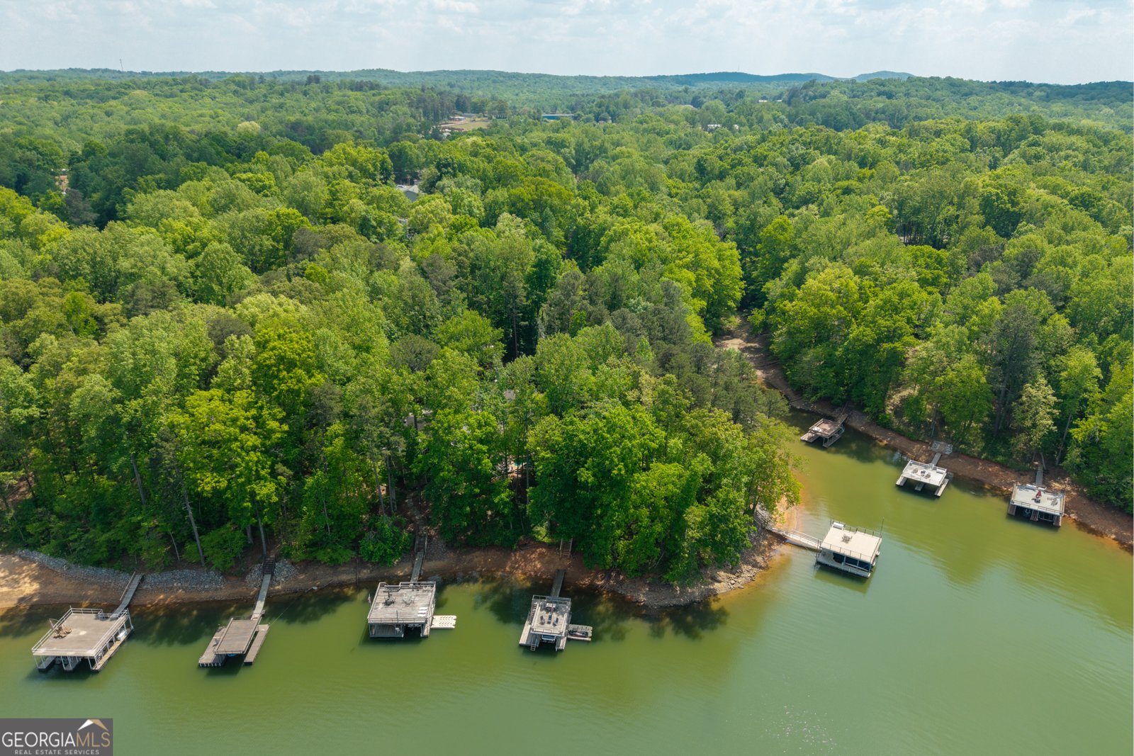 385 Sundown Drive Dawsonville - Photo 38