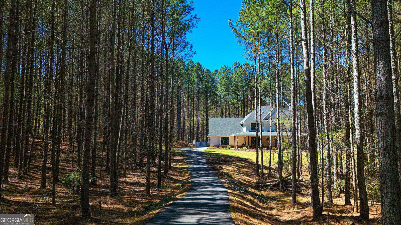 620 Foxpaw Leaf Lane Ellijay - Photo 60