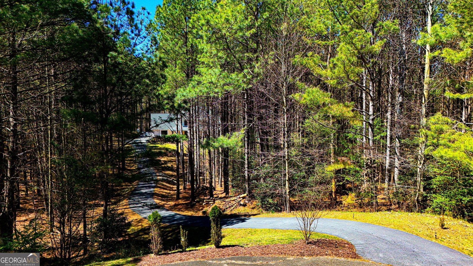 620 Foxpaw Leaf Lane Ellijay - Photo 62