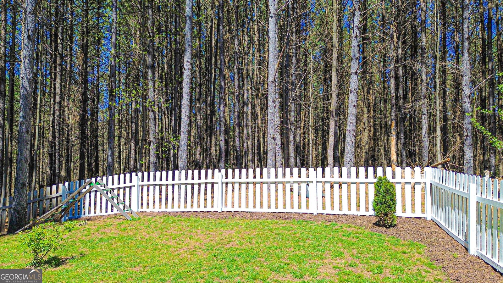 620 Foxpaw Leaf Lane Ellijay - Photo 71