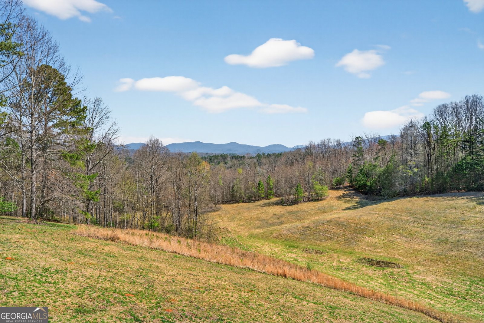 358 Old Jones Road Ellijay - Photo 21