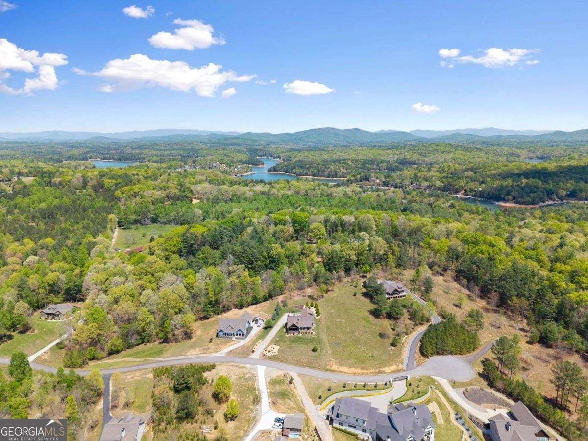 457 Big Knoll Drive Blairsville - Photo 52