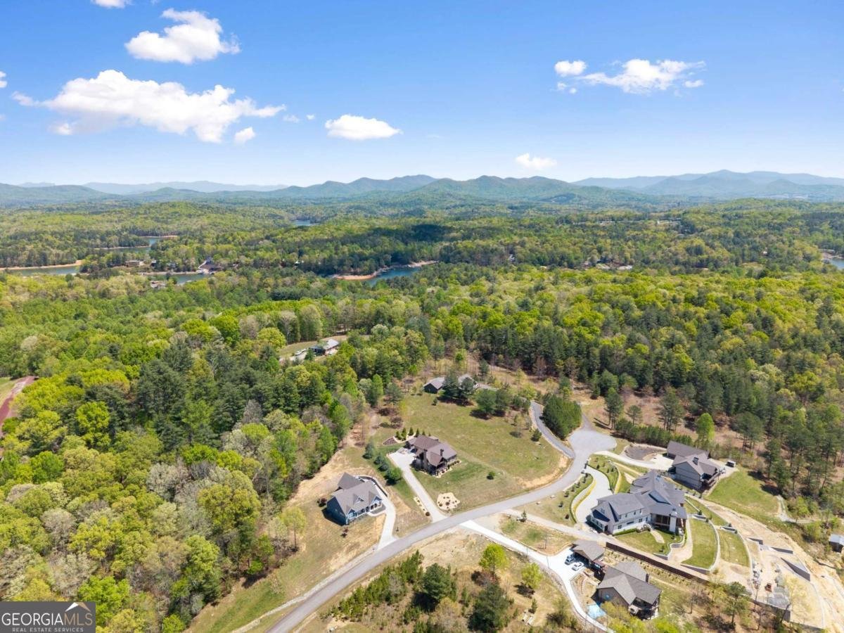 457 Big Knoll Drive Blairsville - Photo 54