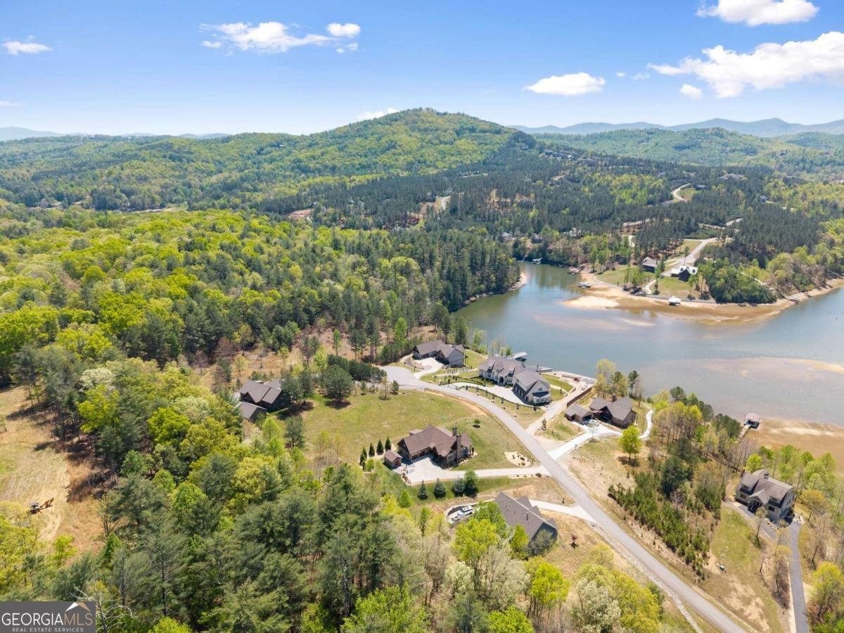 457 Big Knoll Drive Blairsville - Photo 58