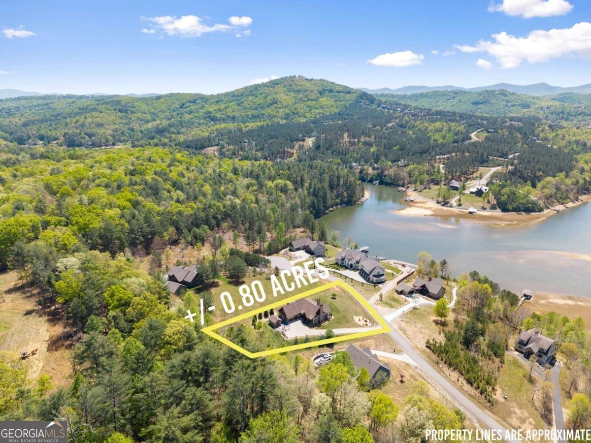 457 Big Knoll Drive Blairsville - Photo 59