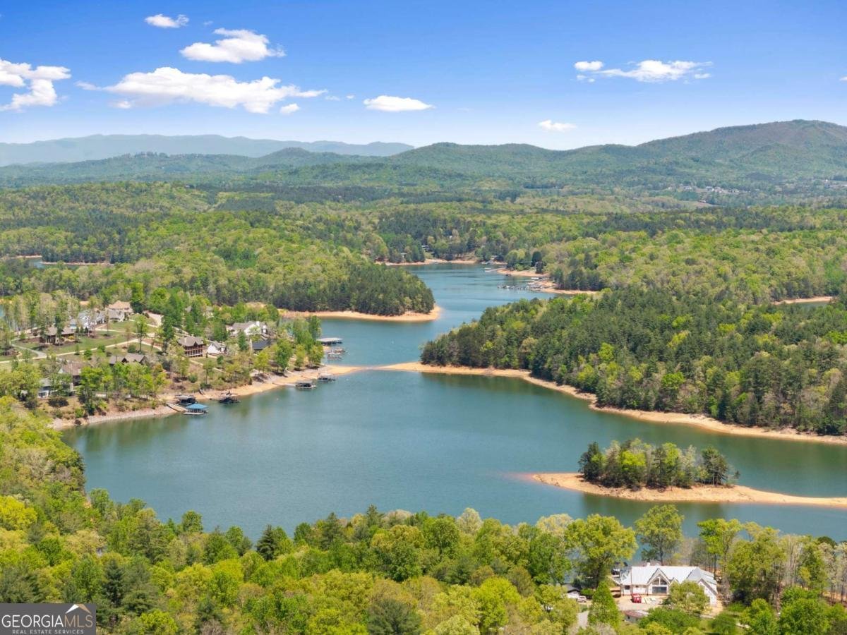 457 Big Knoll Drive Blairsville - Photo 60