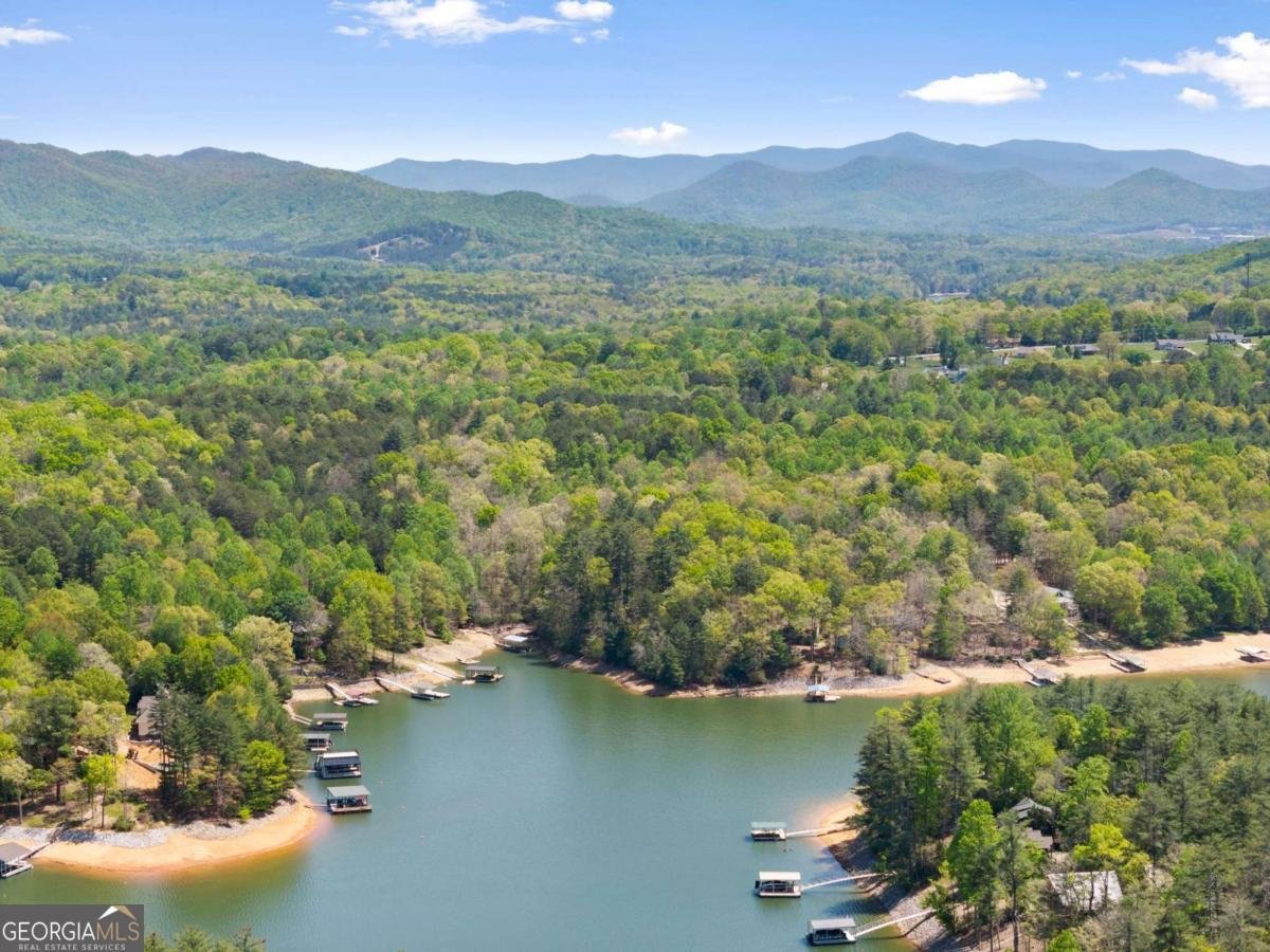 457 Big Knoll Drive Blairsville - Photo 62