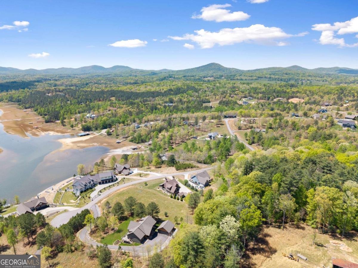 457 Big Knoll Drive Blairsville - Photo 63