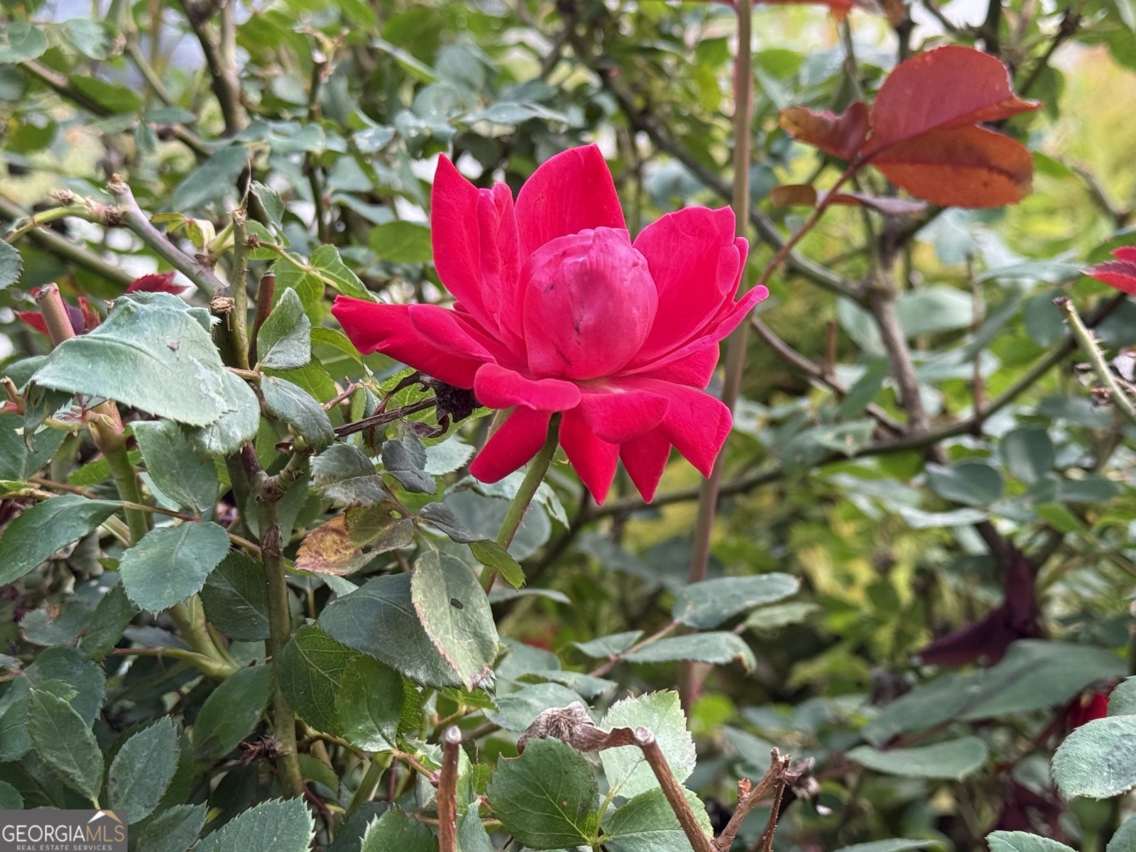 4368 Riverbank Run Hiawassee - Photo 23