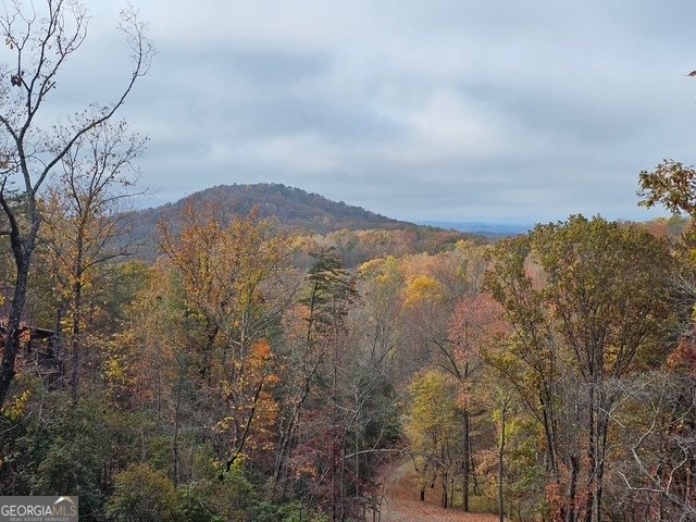 175 Stuart Drive Mineral Bluff - Photo 45