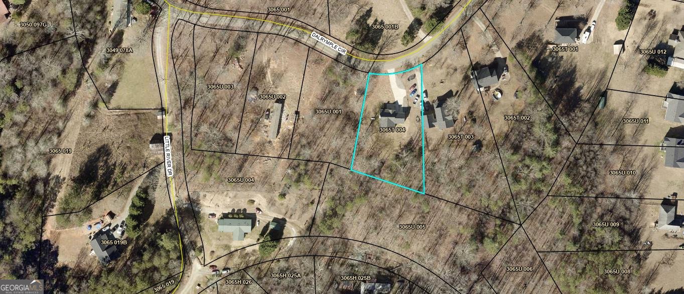 1304 Dalrymple Circle Ellijay - Photo 38