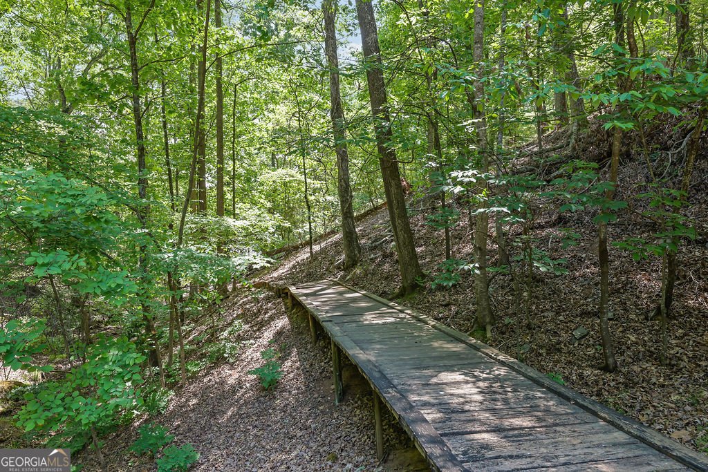 7480 Shadburn Ferry Road Cumming - Photo 58