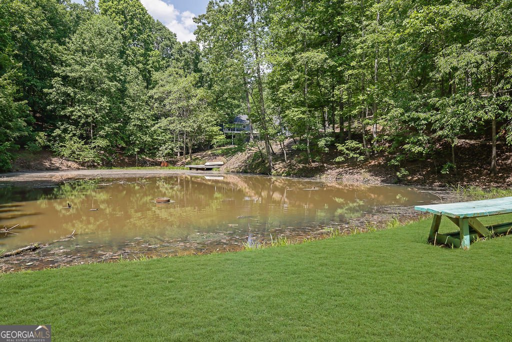 7480 Shadburn Ferry Road Cumming - Photo 59