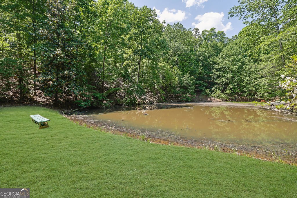 7480 Shadburn Ferry Road Cumming - Photo 61