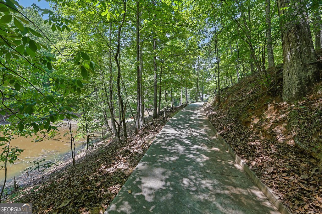 7480 Shadburn Ferry Road Cumming - Photo 62