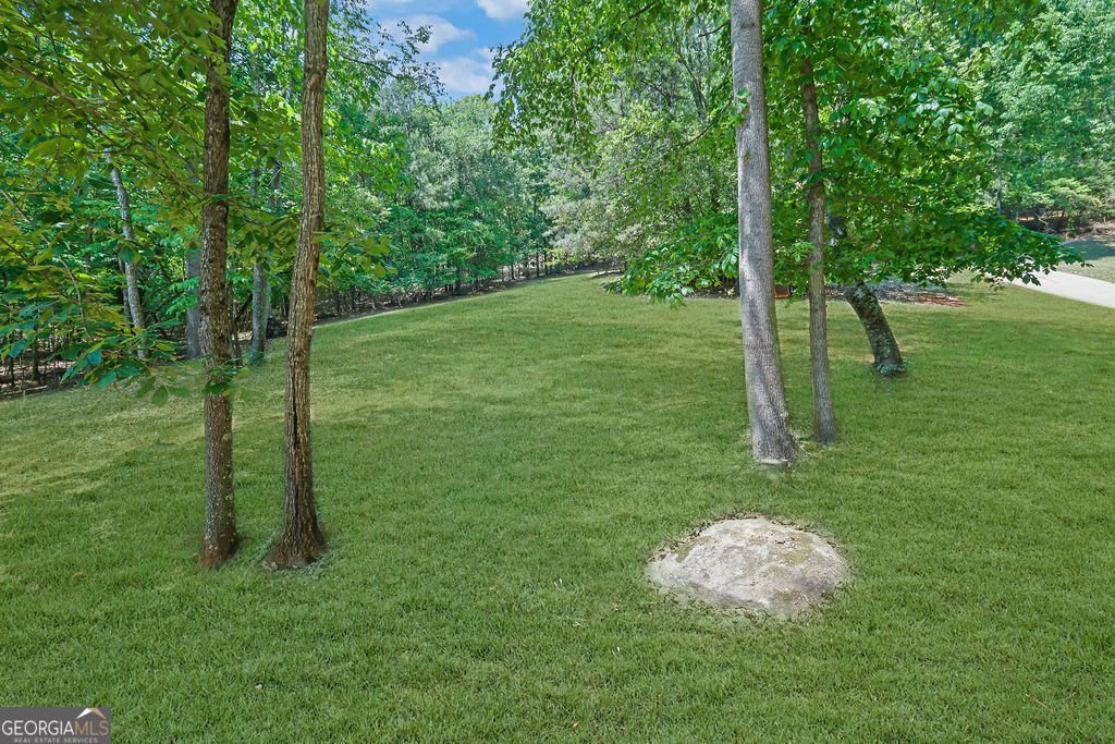 7480 Shadburn Ferry Road Cumming - Photo 67