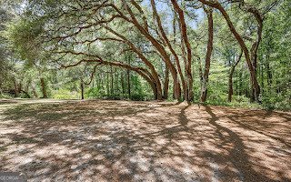 321 Anderson Road Statesboro - Photo 11