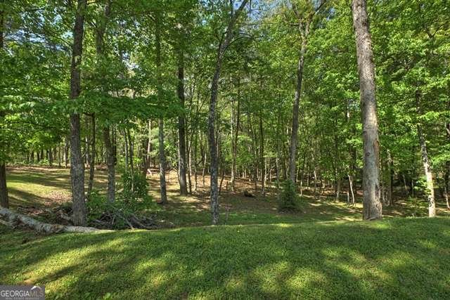410 Knight Drive Ellijay - Photo 12