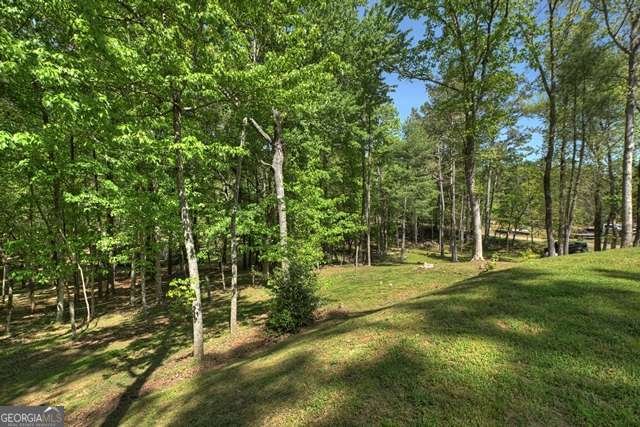 410 Knight Drive Ellijay - Photo 13