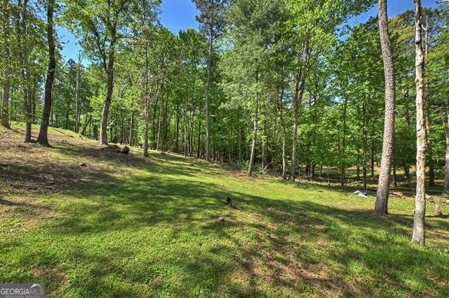 410 Knight Drive Ellijay - Photo 32