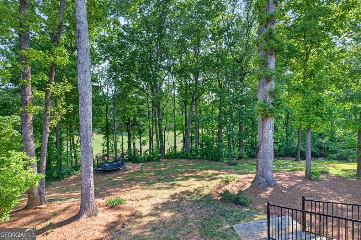 3470 Millwater Crossing Dacula - Photo 54