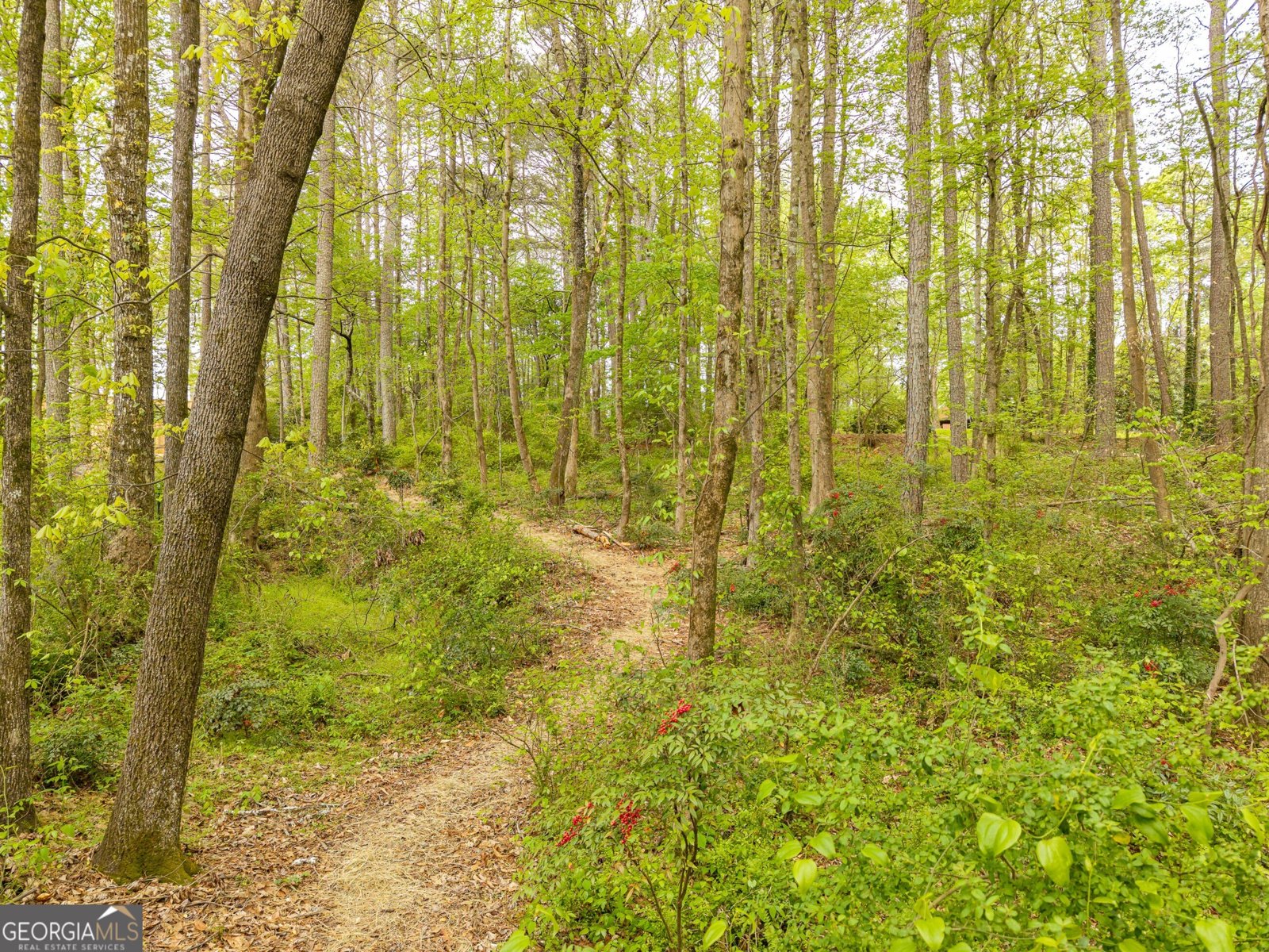 4880 Rosewood Lake Drive Cumming - Photo 78