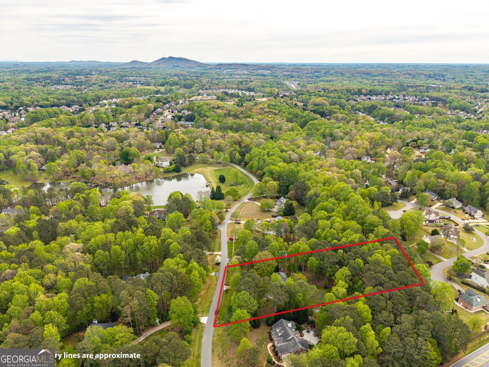 4880 Rosewood Lake Drive Cumming - Photo 88