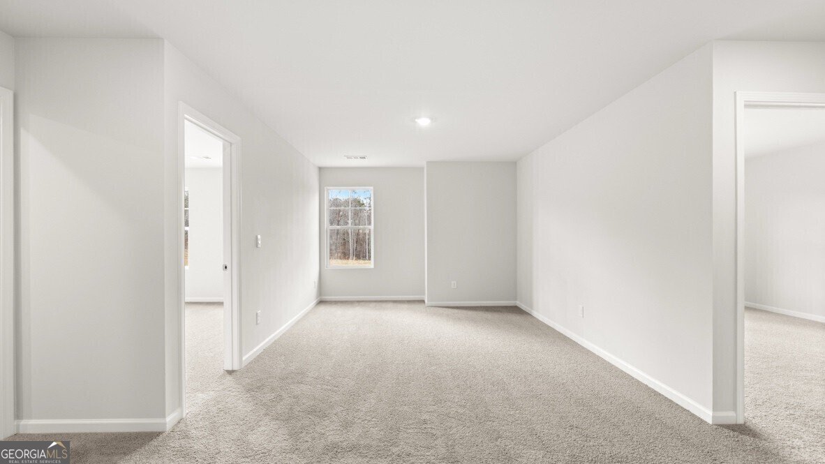 359 Belmont Drive Cartersville - Photo 23