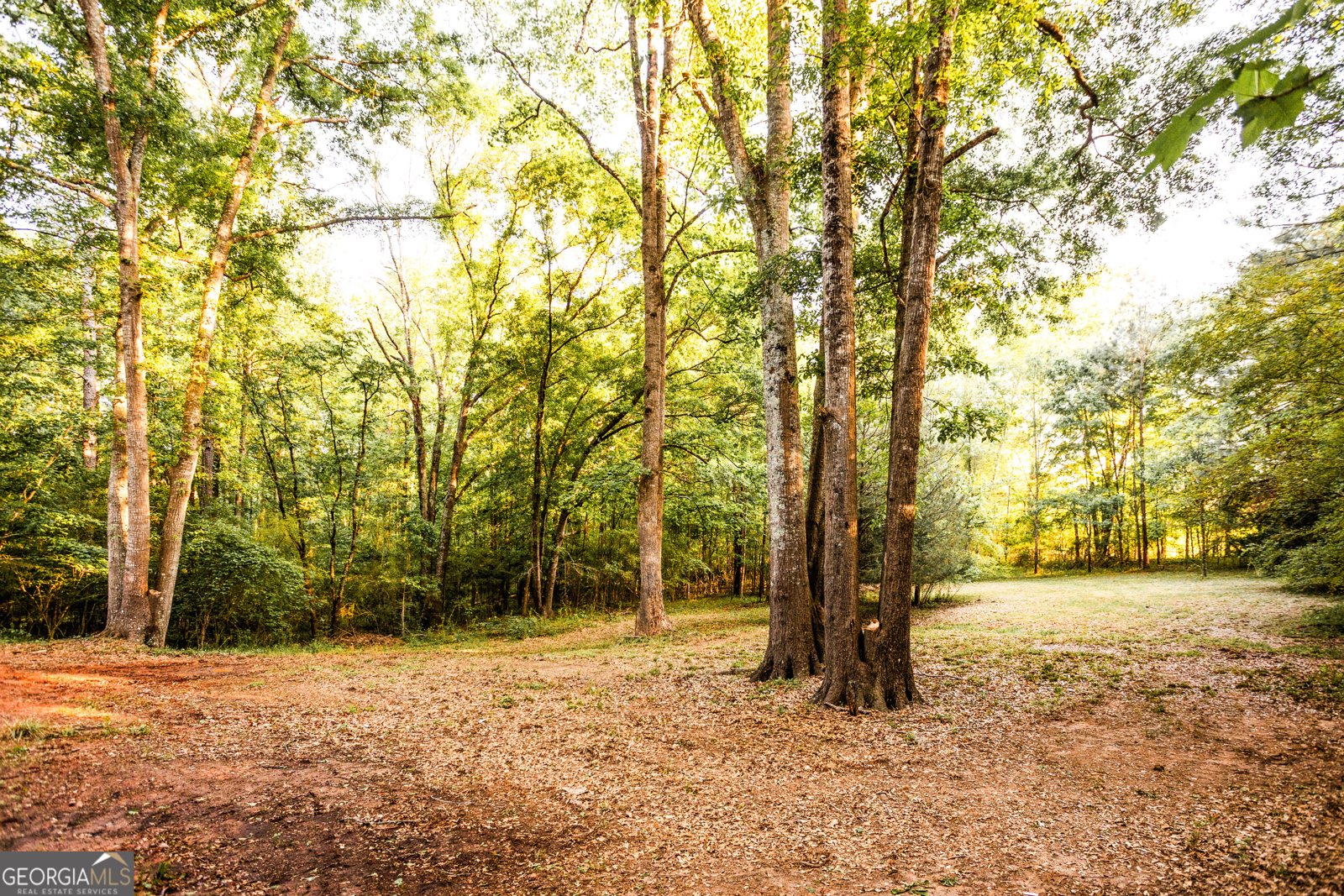 2443 Hodges Farm Road Mansfield - Photo 29
