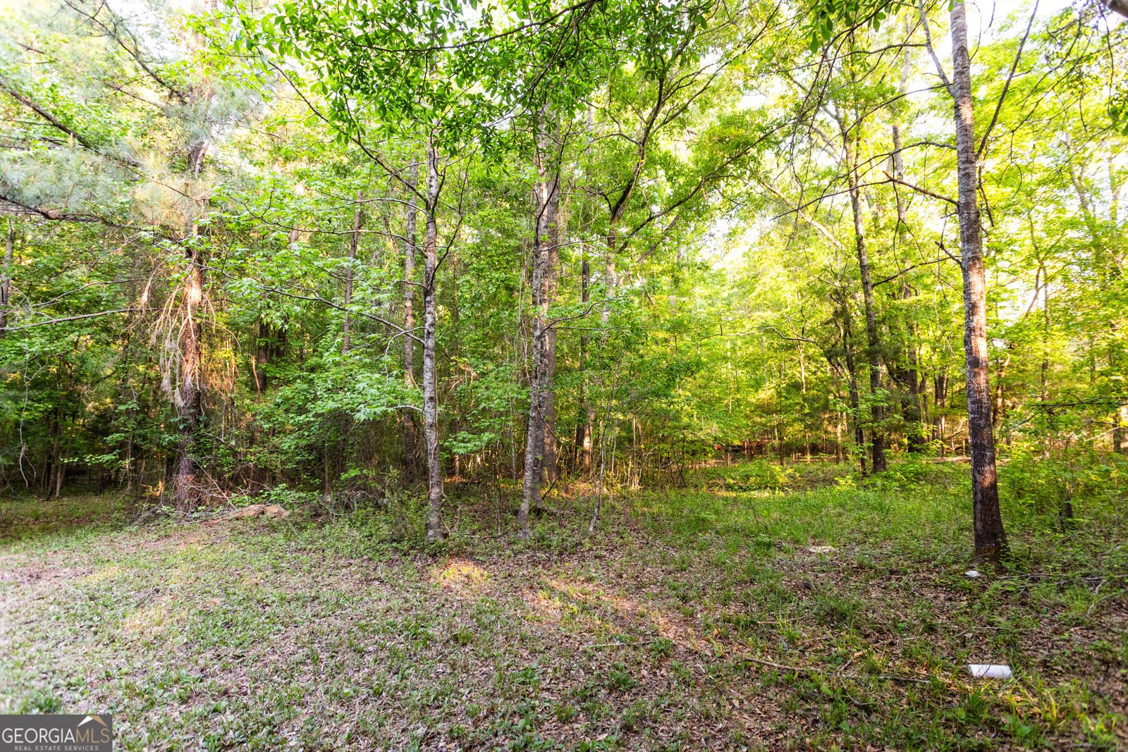 2443 Hodges Farm Road Mansfield - Photo 30