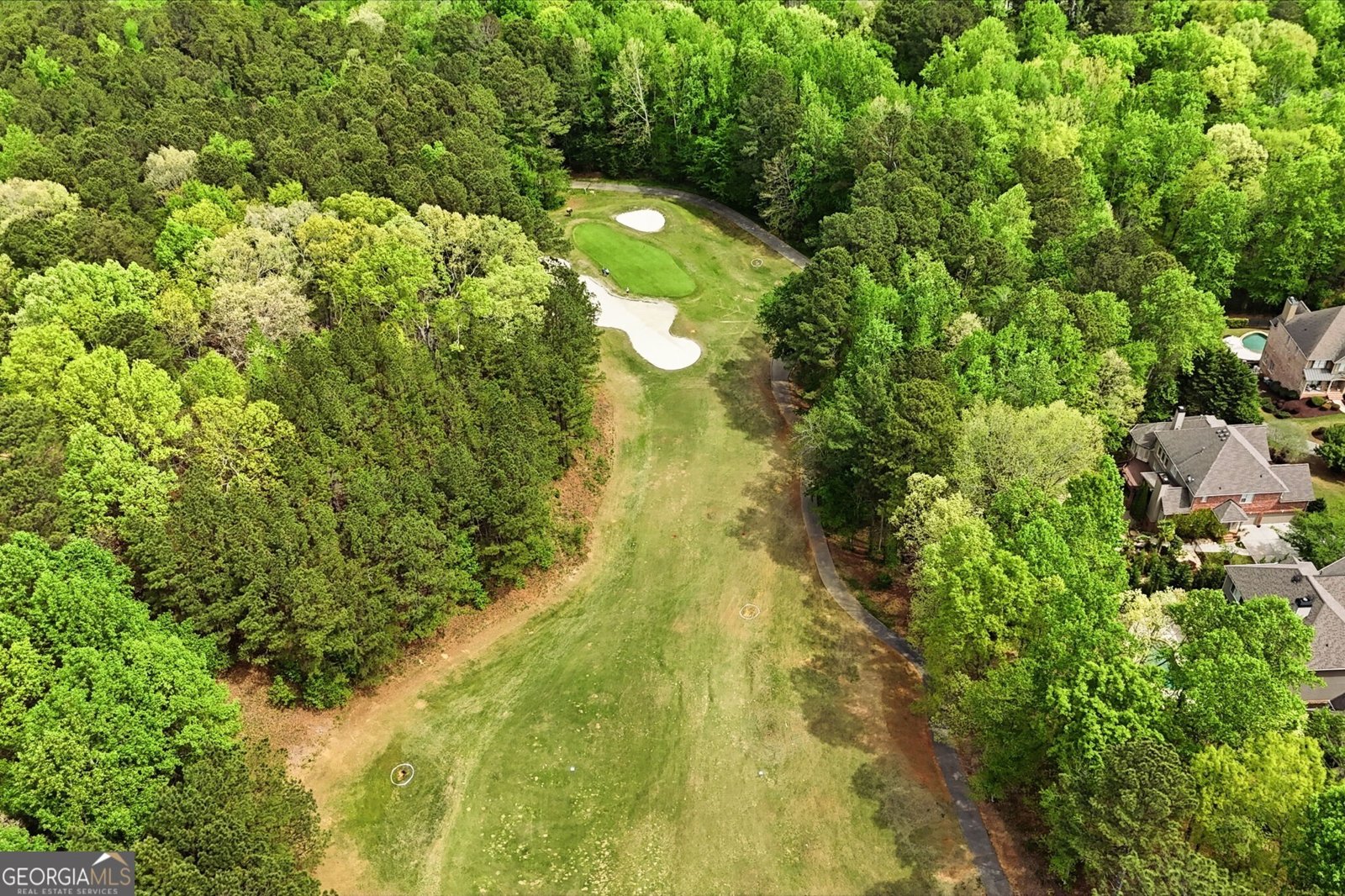 313 Meadow Lark Crossing Canton - Photo 73