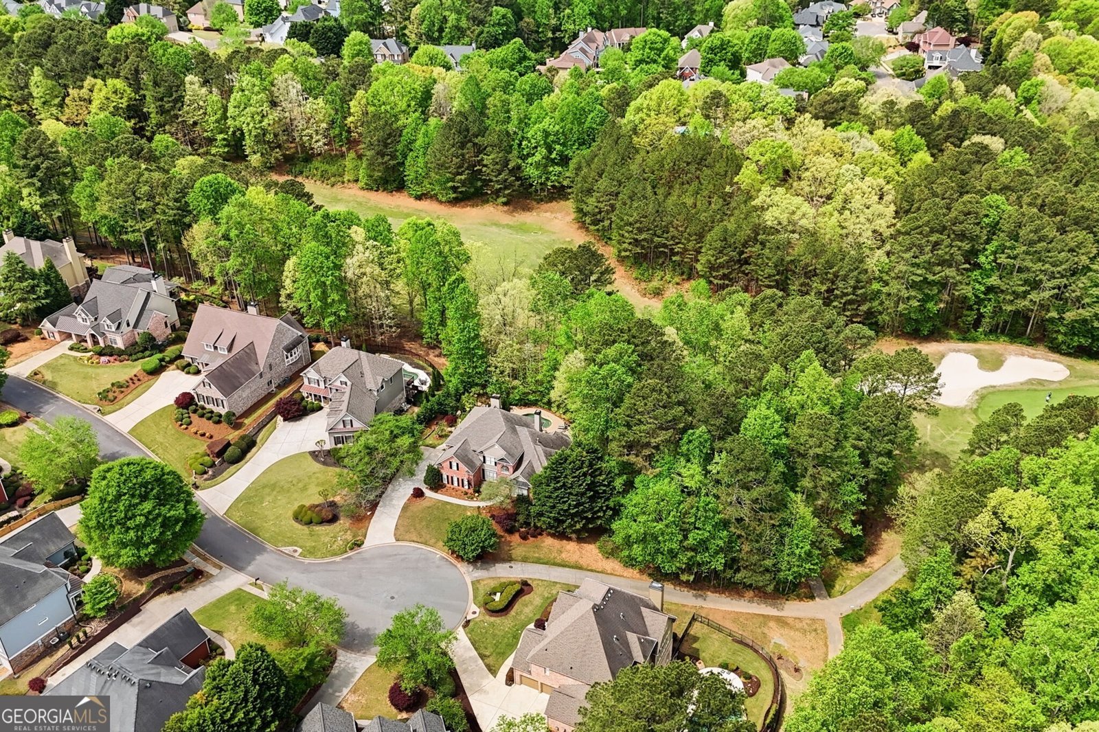 313 Meadow Lark Crossing Canton - Photo 74