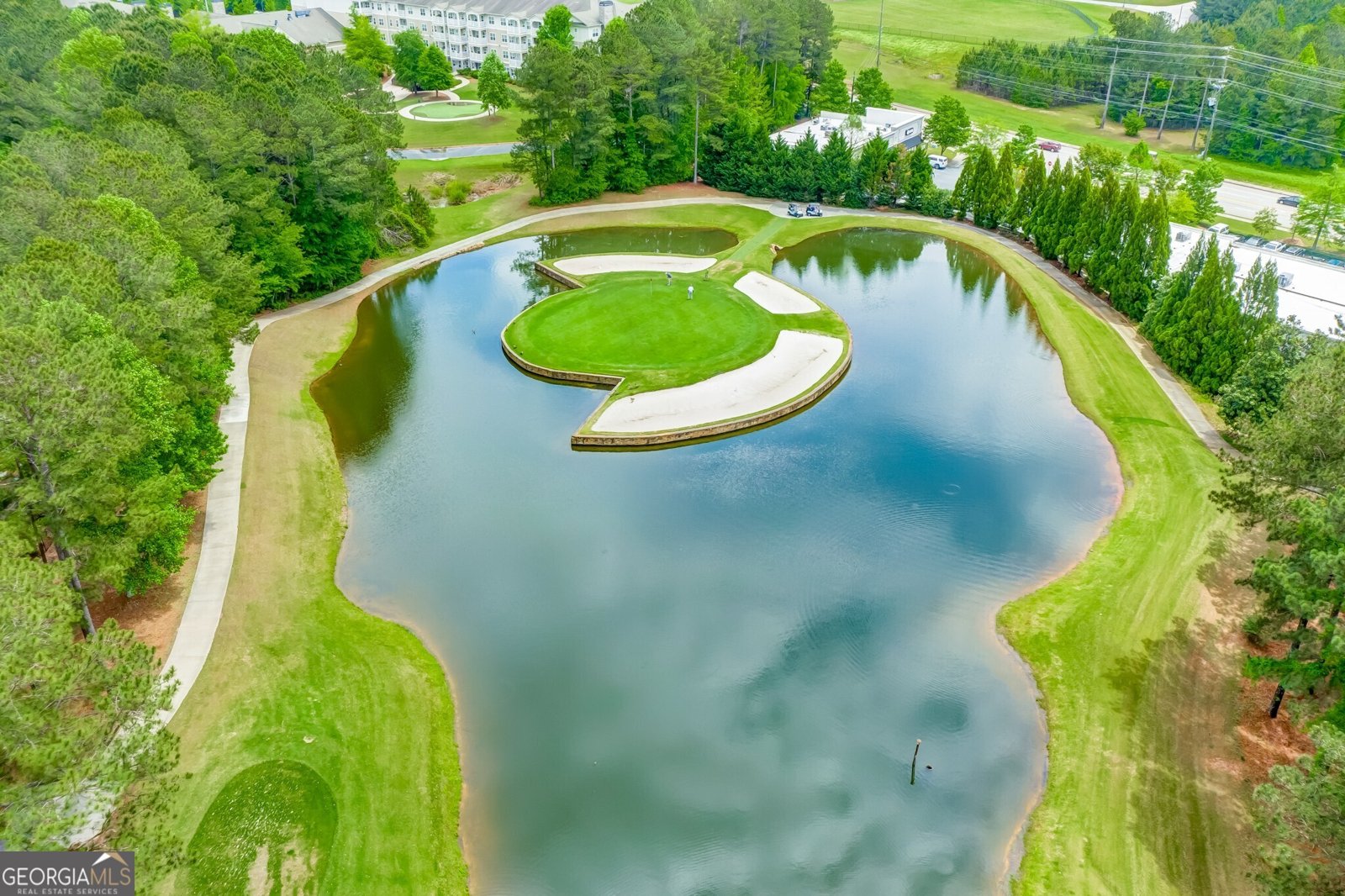 313 Meadow Lark Crossing Canton - Photo 83